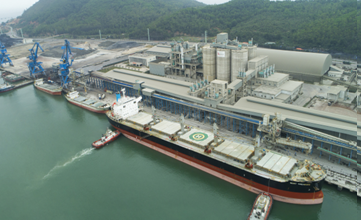 Strong import and export activities at Long Son Bai Ngoc General Port