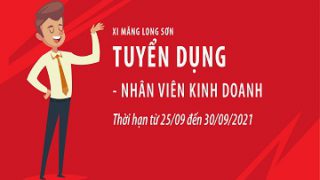 Công ty Xi măng Long Sơn – Thông báo tuyển dụng Nhân viên Kinh doanh