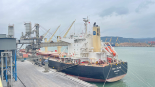 Xuất khẩu clinker và xi măng Long Sơn đi Mỹ, Brunei, Malaysia và Đài Loan