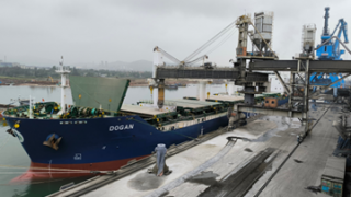 Large-tonnage vessels exporting Long Son Cement to U.S.