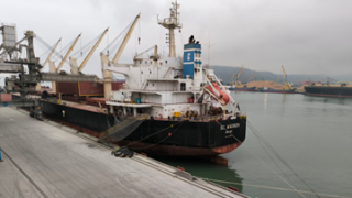 Continuous shipments of Long Son cement and clinker exported to the Korean, Taiwanese, and Malaysian markets.