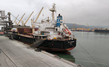 Continuous shipments of Long Son cement and clinker exported to the Korean, Taiwanese, and Malaysian markets.