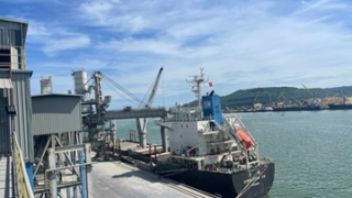 Continuous shipments of Long Son cement and clinker exported to Taiwan, Korea and Malaysia.