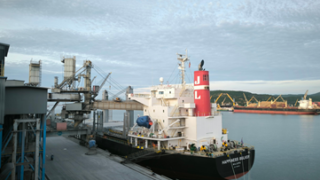 Continuous shipments of Long Son cement exported to the U.S, Malaysia