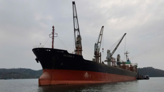 Continue exporting Long Son clinker and cement to Taiwan and the US