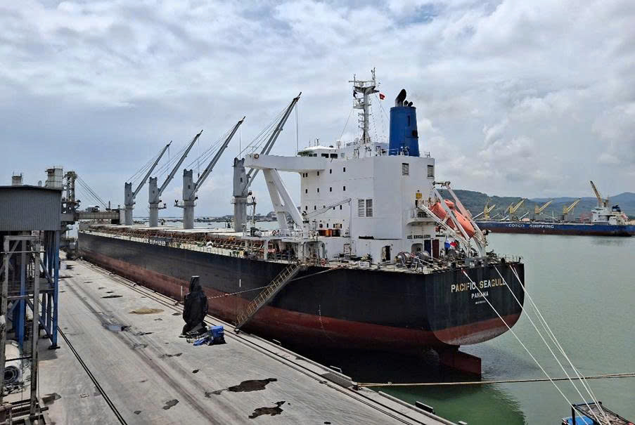 Continue exporting Long Son clinker and cement to the US, Taiwan and Malaysia