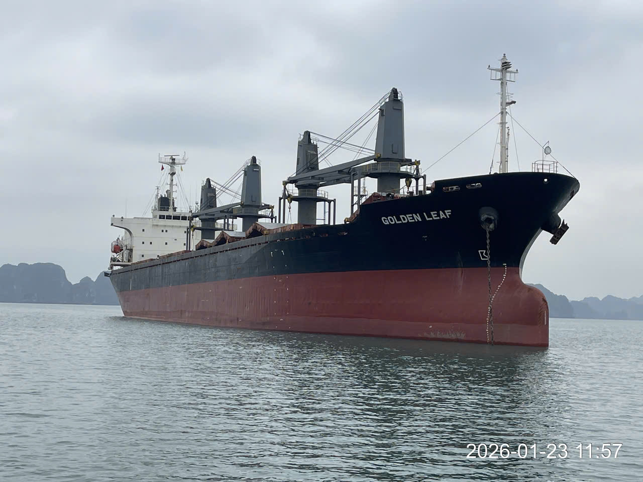 z7459937174935_af8a54afba061663f773f15e9af77a84