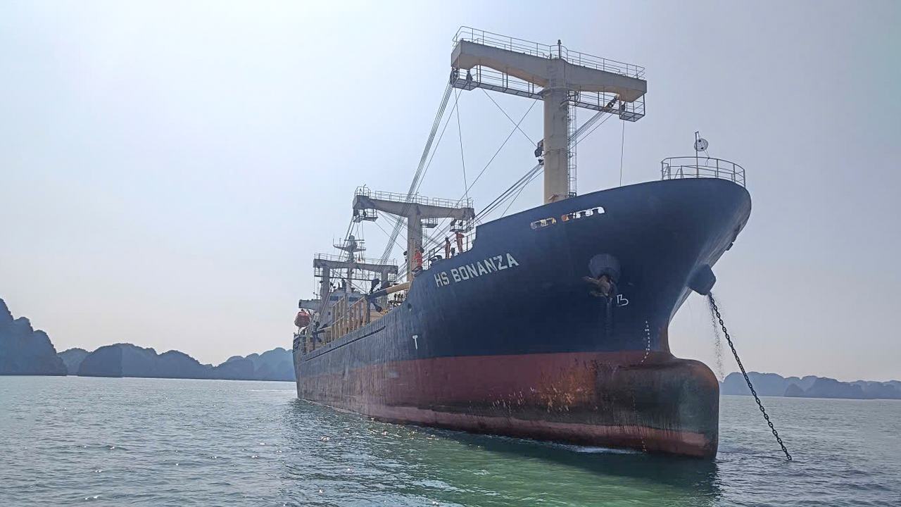 t190_u82_20260206_030315_bce11ed4