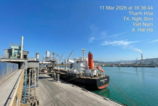 Long Son Cement Maintains Export Momentum, Expands Global Market