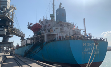 Xi măng Long Sơn xuất khẩu sang thị trường Malaysia