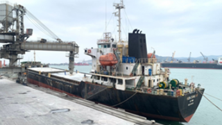 Những chuyến tàu xuất khẩu xi măng Long Sơn đi thị trường Brunei và Đài Loan