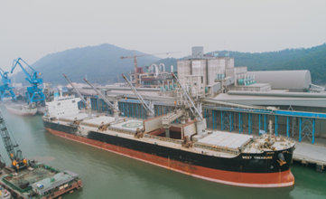 Xuất khẩu Xi măng Long Sơn sang thị trường Mỹ và Đài Loan