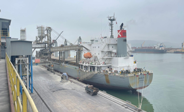 Tiếp tục xuất khẩu clinker và xi măng Long Sơn đi Mỹ và Đài Loan