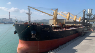 Tiếp tục xuất khẩu xi măng Long Sơn đi Mỹ