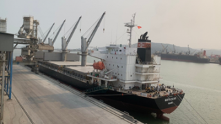 Những chuyến tàu xuất khẩu xi măng Long Sơn đi Brunei và Mỹ