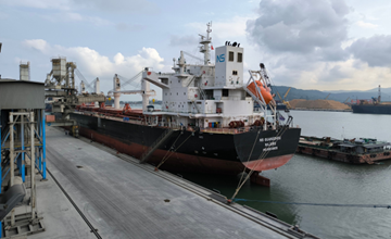 Tiếp tục xuất khẩu xi măng Long Sơn đi Mỹ, Malaysia và Đài Loan