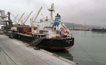 Tiếp tục xuất khẩu clinker và xi măng Long Sơn đi Hàn Quốc, Mỹ, Đài Loan và Malaysia