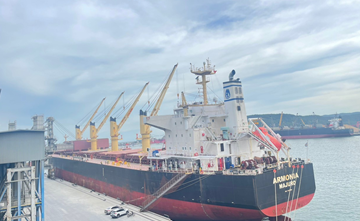 Long Sơn tiếp tục chinh phục thị trường Quốc tế với chuyến tàu xuất khẩu xi măng đi Mỹ, Brunie và Đài Loan