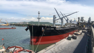 Tiếp tục những chuyến tàu xuất khẩu xi măng Long Sơn đi Mỹ