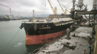 Tiếp tục xuất khẩu clinker và xi măng Long Sơn đi Mỹ và Đài Loan