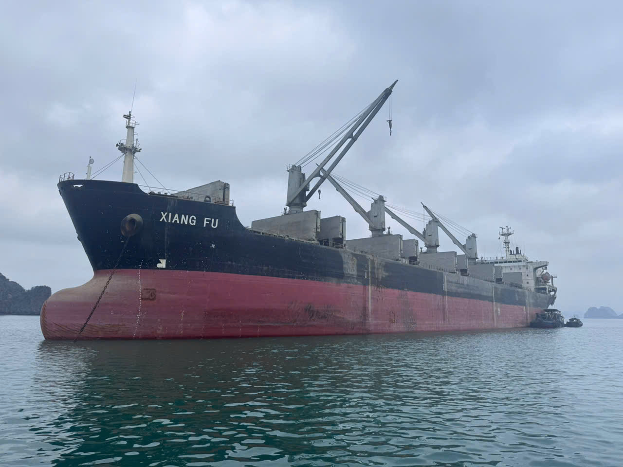 Long Sơn Tiếp Tục Khẳng Định Vị Thế Với Lô Clinker Xuất Khẩu Sang Đài Loan