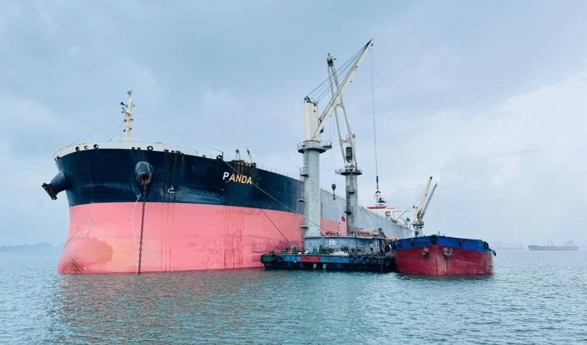 Xuất khẩu clinker và xi măng Long Sơn đi Bờ Biển Ngà, Mỹ, Đài Loan và Malaysia