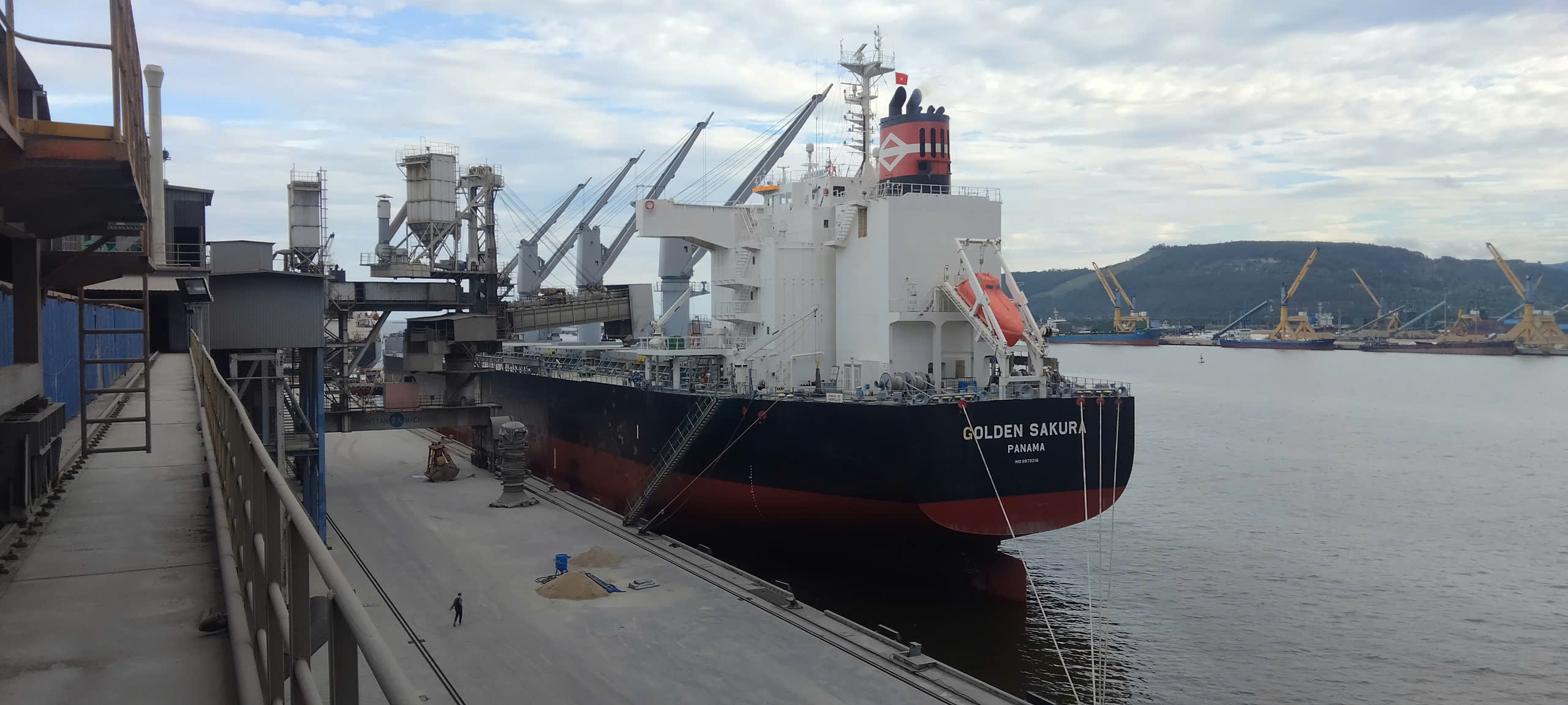 z6780754530123_2ec824bc1ff799a529f9f413a1b09ec4