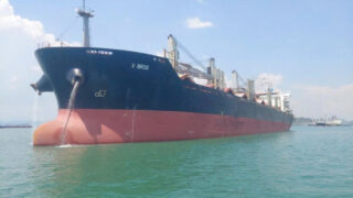 Thêm chuyến tàu clinker của Long Sơn cập cảng Malaysia trong tuần qua