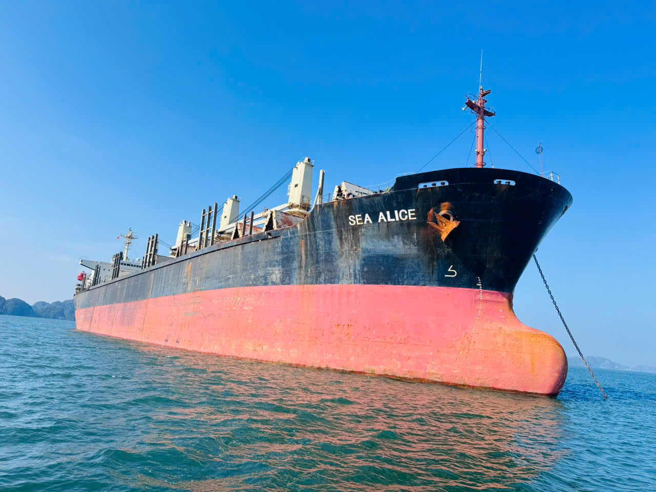 z7139373820749_5afb418b43b8e4ad8609444f7e475194