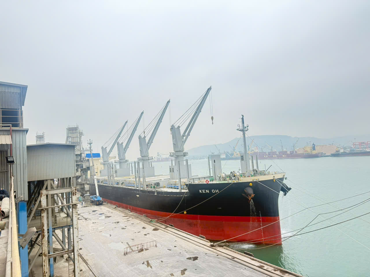 z7393124269540_94b18fe8bab24d19d066b155c7c99672