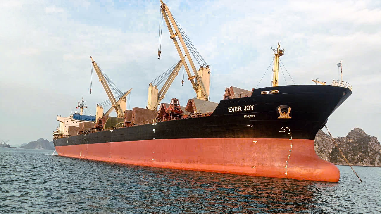 t190_u82_20260206_030315_144006f1