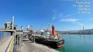 Xi măng Long Sơn duy trì đà xuất khẩu, mở rộng thị trường toàn cầu