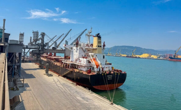 Long Sơn tiếp tục xuất khẩu xi măng sang Mỹ với hai chuyến tàu trong tuần